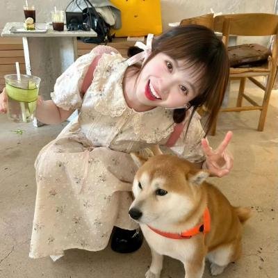 猫忍