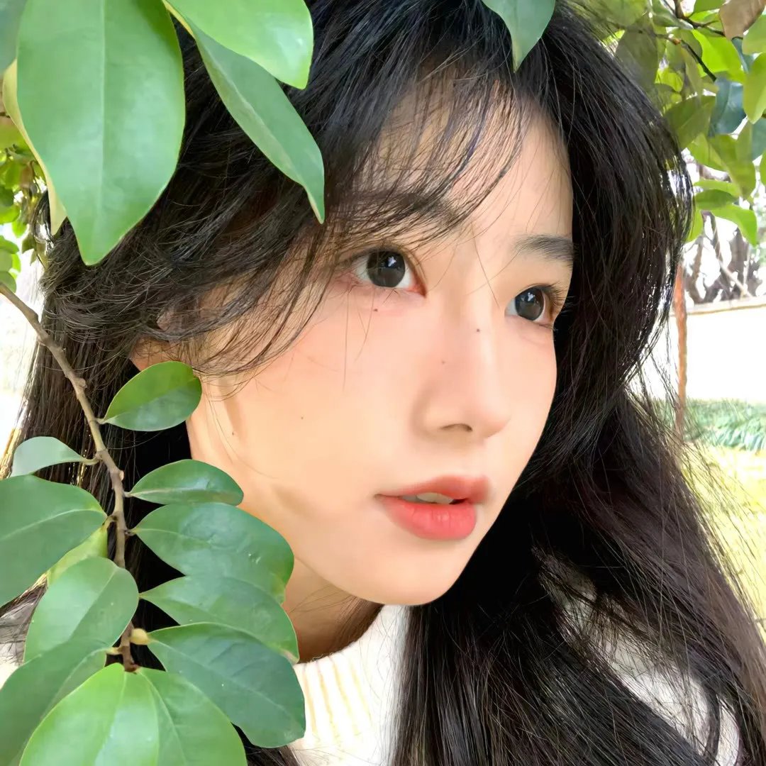 三个女人的故事